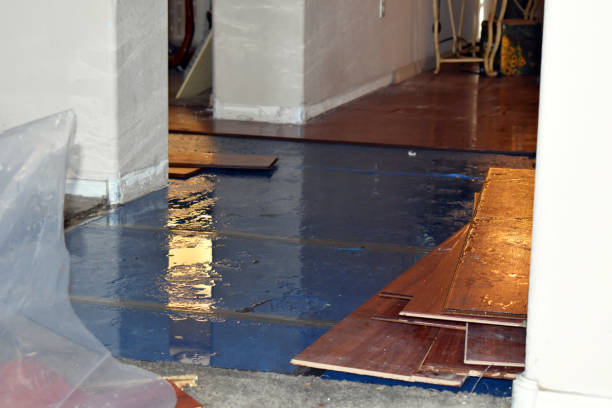 Professional Basement Water Removal technician working in White City, OR